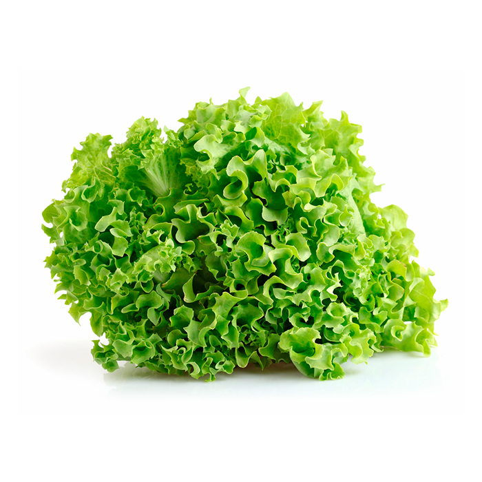 Lechuga Lollo Bionda unidad
